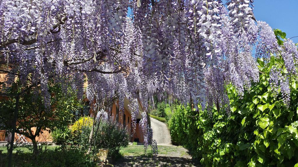 Il Parco Holiday - Locazione Turistica Fonte Nuova Exterior foto